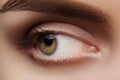 Close-up macro beautiful female eye with perfect shape eyebrows. Clean skin, fashion natural smoky make-up. Good vision Royalty Free Stock Photo