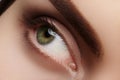 Close-up macro beautiful female eye with perfect shape eyebrows. Clean skin, fashion natural smoky make-up. Good vision Royalty Free Stock Photo