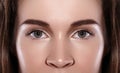 Close-up Macro of Beautiful Female Eye with Perfect Shape Eyebrows. Clean skin, Fashion Naturel Make-Up. Good Vision Royalty Free Stock Photo
