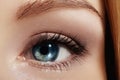 Close-up macro of beautiful female eye with perfect shape eyebrows. Clean skin, fashion naturel make-up. Good vision Royalty Free Stock Photo