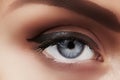 Close-up macro of beautiful female eye with perfect shape eyebrows. Clean skin, fashion naturel make-up. Good vision Royalty Free Stock Photo