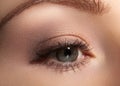 Close-up macro of beautiful female eye with perfect shape eyebrows. Clean skin, fashion naturel make-up. Good vision Royalty Free Stock Photo