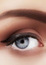 Close-up macro of beautiful female eye with perfect shape eyebrows. Clean skin, fashion naturel make-up. Good vision Royalty Free Stock Photo