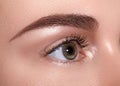 Close-up Macro of Beautiful Female Eye with Perfect Shape Eyebrows. Clean skin, Fashion Naturel Make-Up. Good Vision Royalty Free Stock Photo