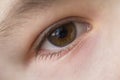 Close up macro of child boy eye Royalty Free Stock Photo