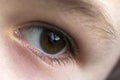 Close up macro of child boy eye Royalty Free Stock Photo