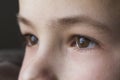 Close up macro of child boy eyes Royalty Free Stock Photo