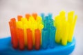 Close up macro of colorful bristles Toothbrush background Royalty Free Stock Photo