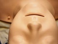 Face and lips of CPR training dummy