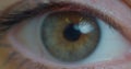 Close up macro eye opening human iris natural beauty.