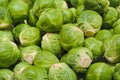 Close up macro of fresh green ÃÂ¸russels sprouts for sale on open