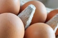 Close-up of brown eggs in a grey egg carton Royalty Free Stock Photo