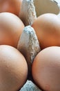 Close-up of brown eggs in an egg carton Royalty Free Stock Photo