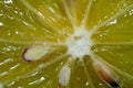 Close-up - macro of a fresh ripe lemon slice Royalty Free Stock Photo