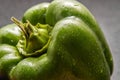 Close up, macro. Juicy green sweet pepper paprika, covered with wet drops of water after washing. Black background