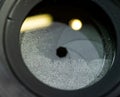 Close up or macro fungus on glass camera lens