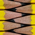Close up macro group of pencil