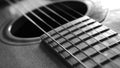 Close up macro on guitar strings black and white photo Royalty Free Stock Photo