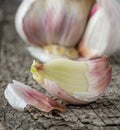 A close up macro image of a clove of garlic