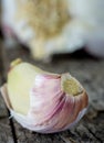 A close up macro image of a clove of garlic