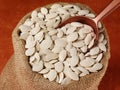 SACK OF WHITE PUMPKIN SEEDS