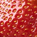 Close-up macro image of fresh strawberry