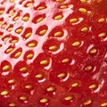 Close-up macro image of fresh strawberry Royalty Free Stock Photo