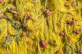 Close up macro image of old yellow fishing net Royalty Free Stock Photo