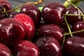 Close up, macro. Large ripe berries cherries, wet from water