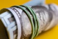 close up macro of paper currency roll of hundred dollars knitted by rubber band