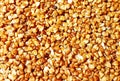 A close-up macro photo of cooked buckwheat grains Royalty Free Stock Photo