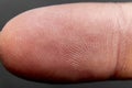 close up macro photo of a finger print of a caucasian man b Royalty Free Stock Photo