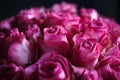 Close-up macro photo of bouquet of roses