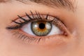 Close up, macro photo of o female color eye, iris, pupil, eye lashes, eye lids. Royalty Free Stock Photo