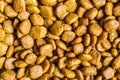 Close up macro photo of pet cat dog food. Royalty Free Stock Photo