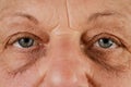 Close up, macro photo of a senior female color eyes, iris, pupil, eye lashes, eye lids. Royalty Free Stock Photo