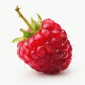 Single Vibrant Red Raspberry Detailed Macro Studio Shot Isolated on White Background Royalty Free Stock Photo