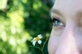 Close up macro picture of a green blue eye isolated of a young woman face with a daisy flower Royalty Free Stock Photo