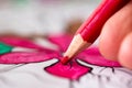 A close up macro portrait of fingers of a hand holding a red wooden pencil coloring in a flower in a coloring book for adults. The Royalty Free Stock Photo
