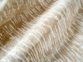 Close up macro shot of abstract mudcloth boho pattern fabric texture Royalty Free Stock Photo