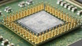 Closeup Macro Shot of a Computer Processor Chip with Golden Pins Royalty Free Stock Photo