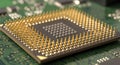 Close up macro shot of a computer processor chip with golden pins on a green circuit board Royalty Free Stock Photo