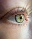 Close up macro shot of females green iris. Eyeball detail with eyelashes and eyebrow