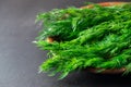 Close up macro shot of fresh green dill herbs on a plate