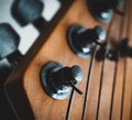 Close up macro shot of the head of a fender stratocaster