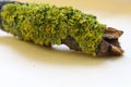 Close up macro shot of moss and lichen on a tree branch Royalty Free Stock Photo