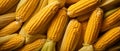 Close-up macro shot of a perfectly arranged expanse of Fresh Corn