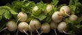 Close-up macro shot of a perfectly arranged expanse of Fresh Turnips