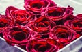 A close up macro shot of a red rose. Flower shop. Red rose flower, petals. Bouquet of flowers, fresh red rose. Collage