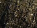 Dark Rugged Rock Texture Background with Dramatic Lighting and Natural Stone Detail Royalty Free Stock Photo